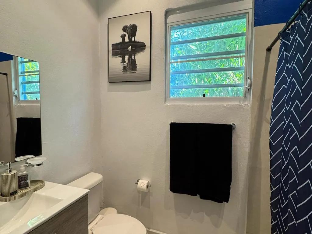 Apartament Elegant 1-Br Penthouse In Condado! San Juan